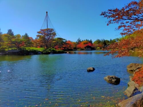 立川市の国営昭和記念公園